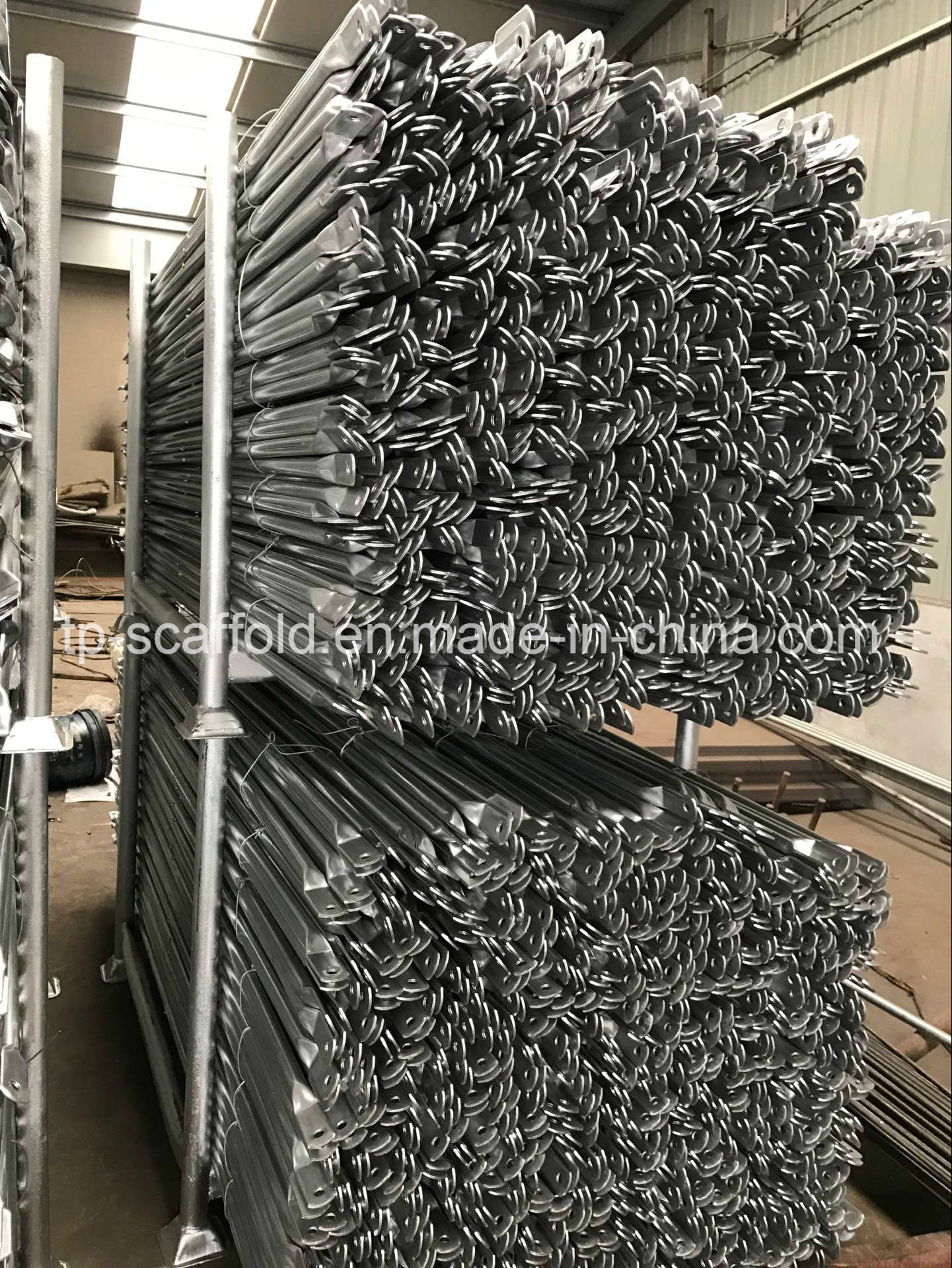 Impalcatura con telaio in acciaio verniciato blu per muratori